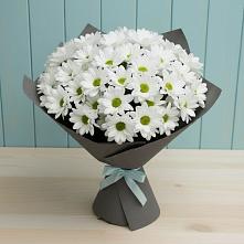 Букет цветов из:  Хризантемы #REPLACE_PRED# Советской Краснодарского края