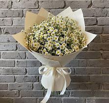 Букет цветов из:  Ромашки в Советской Краснодарского края