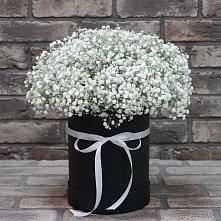 Цветочная композиция из Гипсофила в шляпной коробке в Советской Краснодарского края