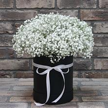 Цветочная композиция из Гипсофила в шляпной коробке в Советской Краснодарского края