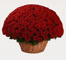 Премиум букет из: Розы в Советской Краснодарского края